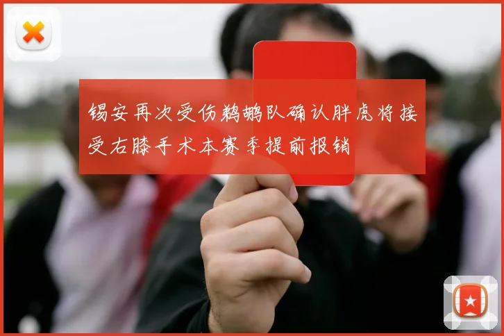 锡安再次受伤鹈鹕队确认胖虎将接受右膝手术本赛季提前报销