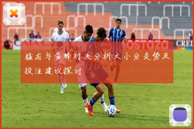猛龙与黄蜂对决分析大小分走势及投注建议探讨